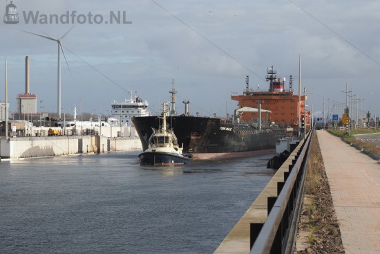 Tanker Torm Amalie uitgaand