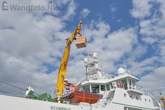 Nieuwe hektrawler Scombrus