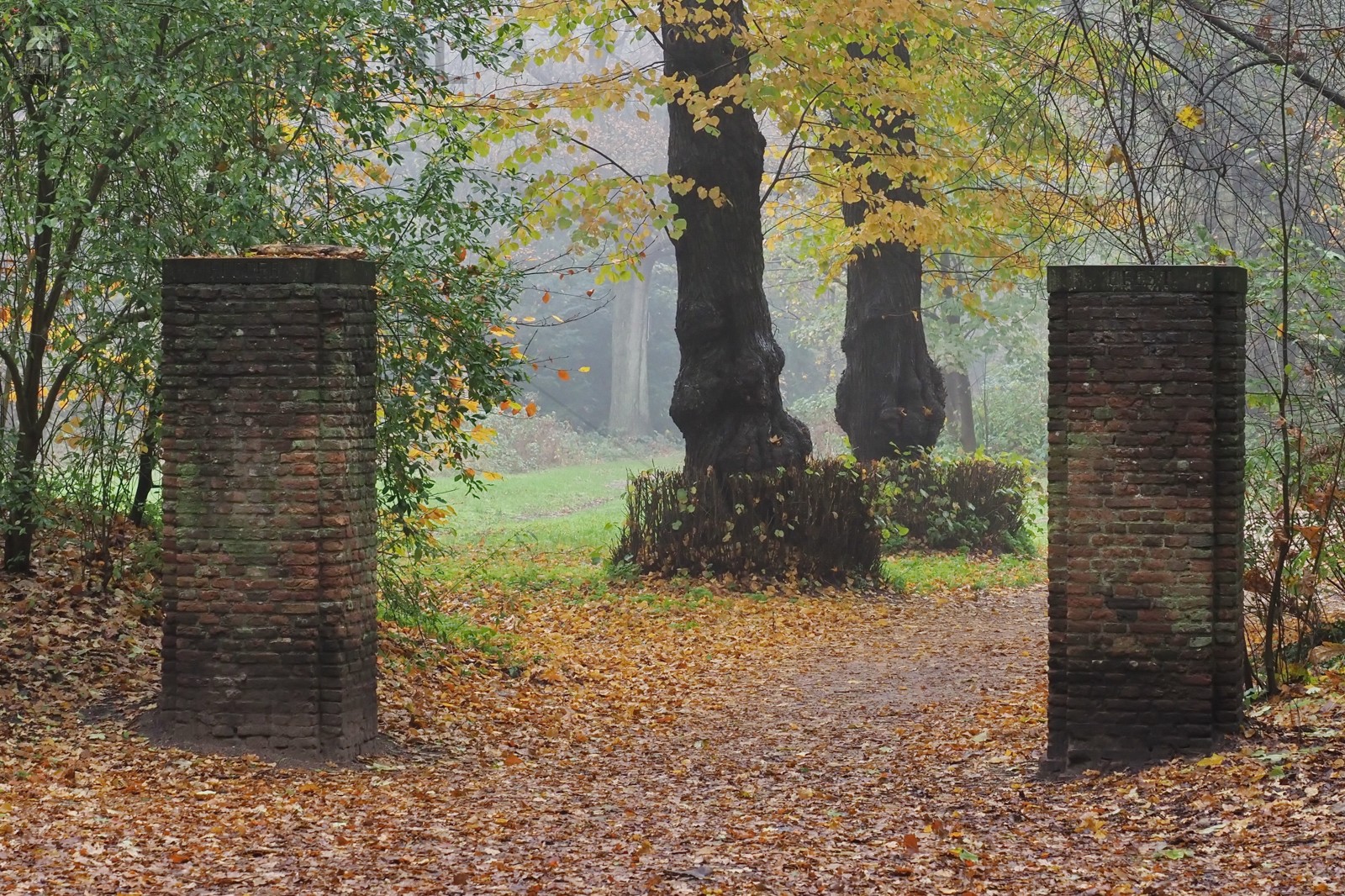 Herfst