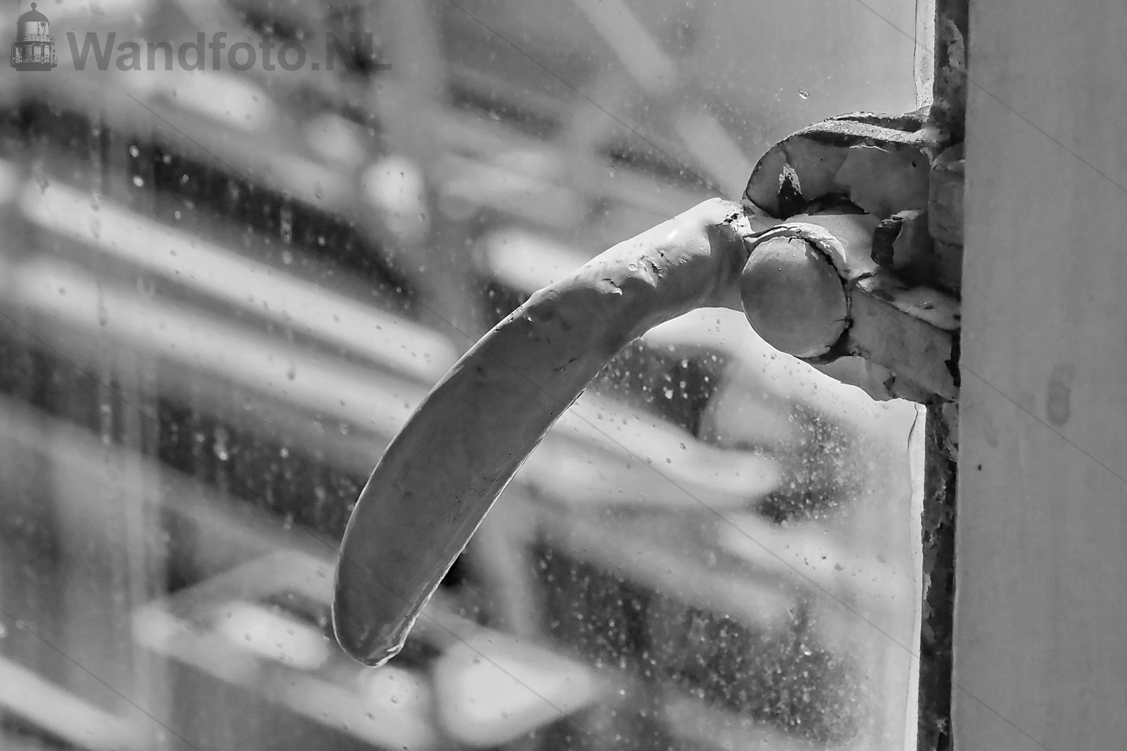 Erkerfoto-2-D--14319-bw.JPG