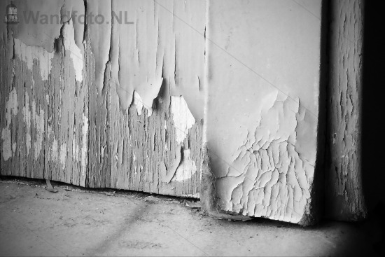 Ramenfoto-2-N--14292-lomo-bw.JPG