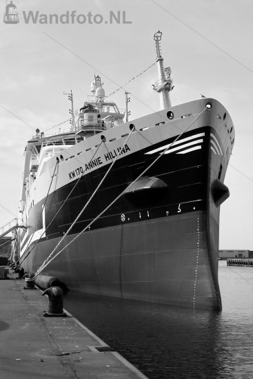 Nieuwe hektrawler Annie Hillina, Kotterkade, IJmuiden