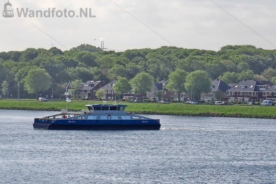 NZK Pont 100
