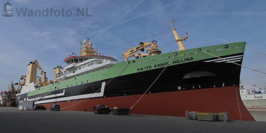Nieuwe hektrawler Annie Hillina, Kotterkade, IJmuiden