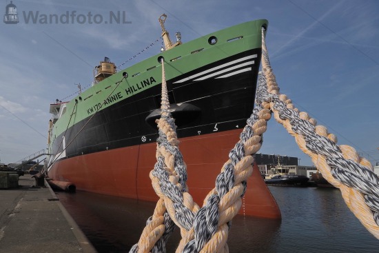 Nieuwe hektrawler Annie Hillina, Kotterkade, IJmuiden