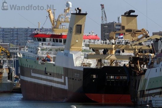 Nieuwe hektrawler Annie Hillina, Kotterkade, IJmuiden