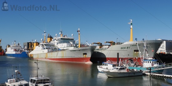 Twee hektrawlers van Vrolijk, IJmuiden