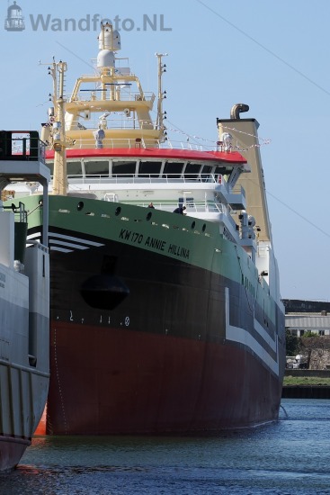 Nieuwe hektrawler Annie Hillina, Kotterkade, IJmuiden