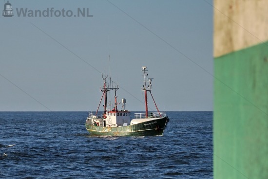 Guardvessel Merlin Diver