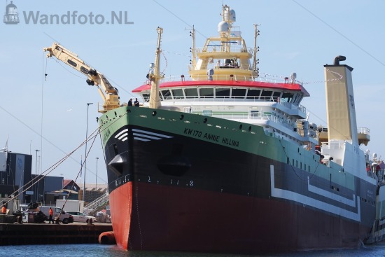 Nieuwe hektrawler Annie Hillina, Kotterkade, IJmuiden