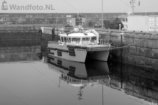 Tender Windcat 4 aan de kade