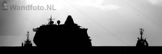 Cruiseschip AIDAvita verlaat
