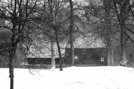Eerste sneeuw van 2021