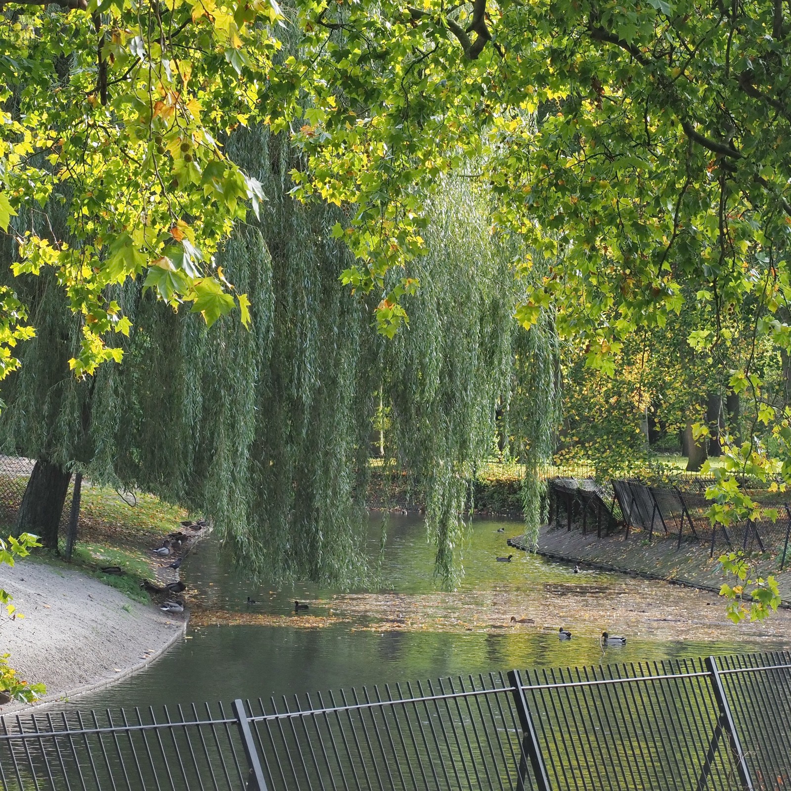 Hertenkamp