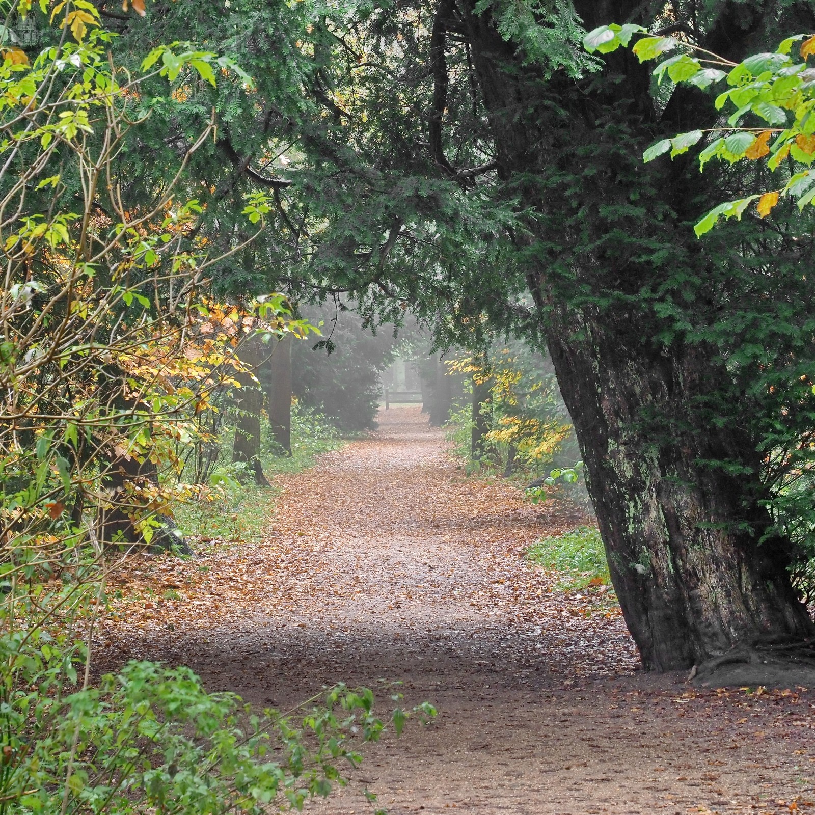 Herfst