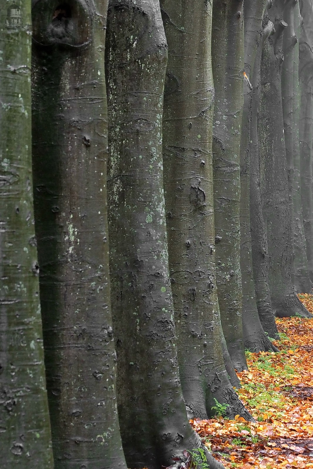 Herfst