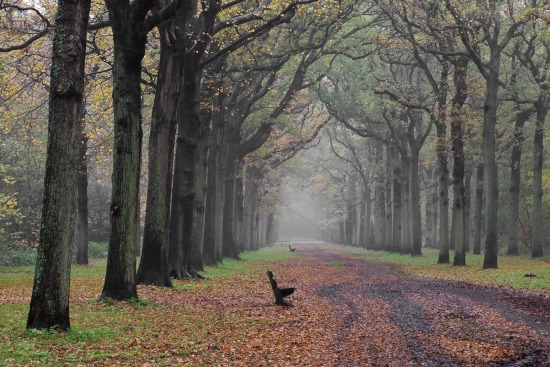 Herfst