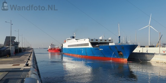 Car carrier Napoli
