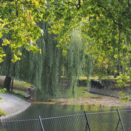 Hertenkamp