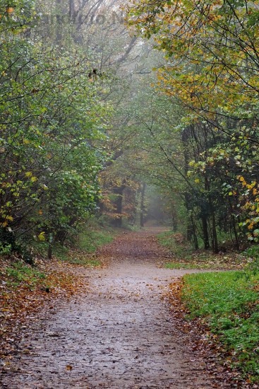 Herfst