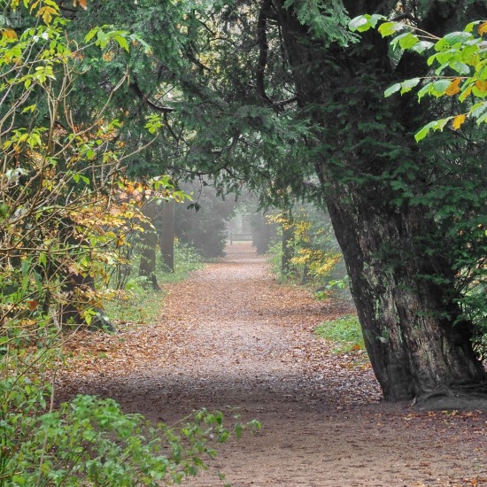 Herfst