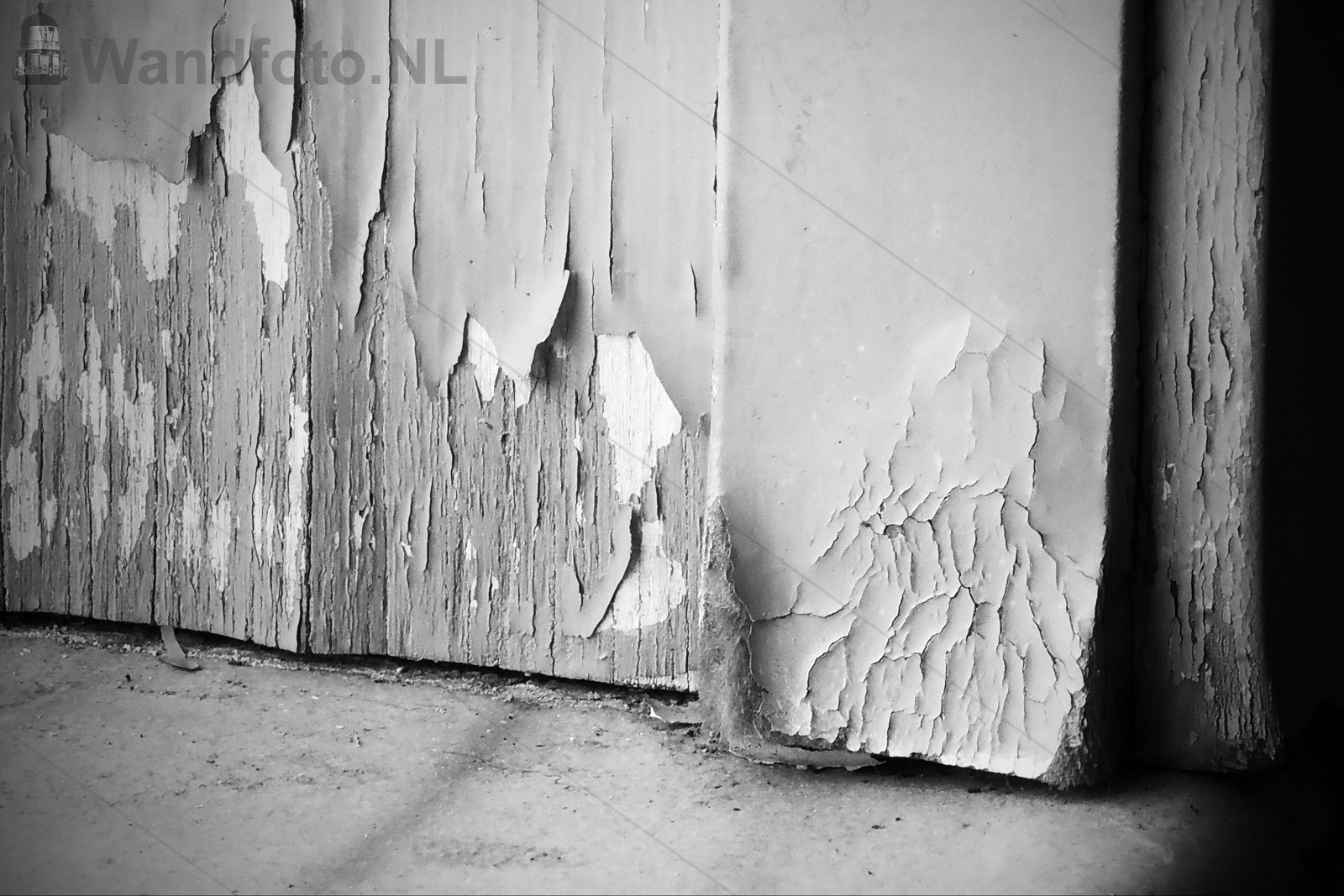 Ramenfoto-2-N--14292-lomo-bw.JPG