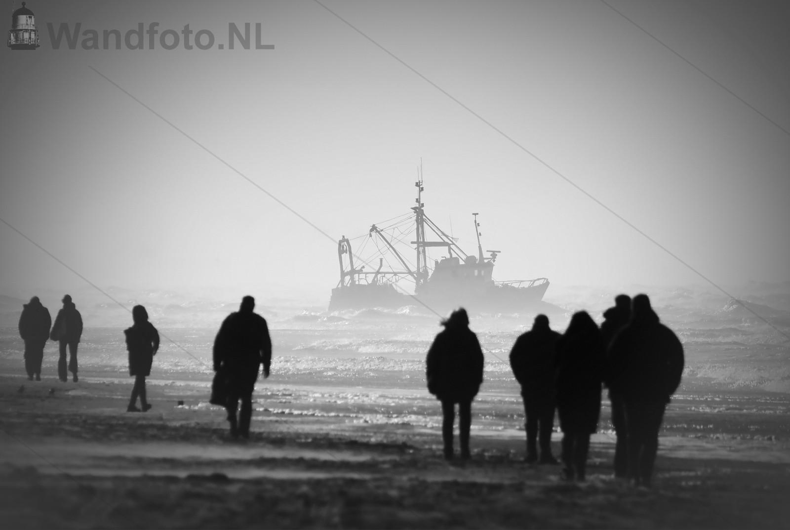 Stranded Black Jack