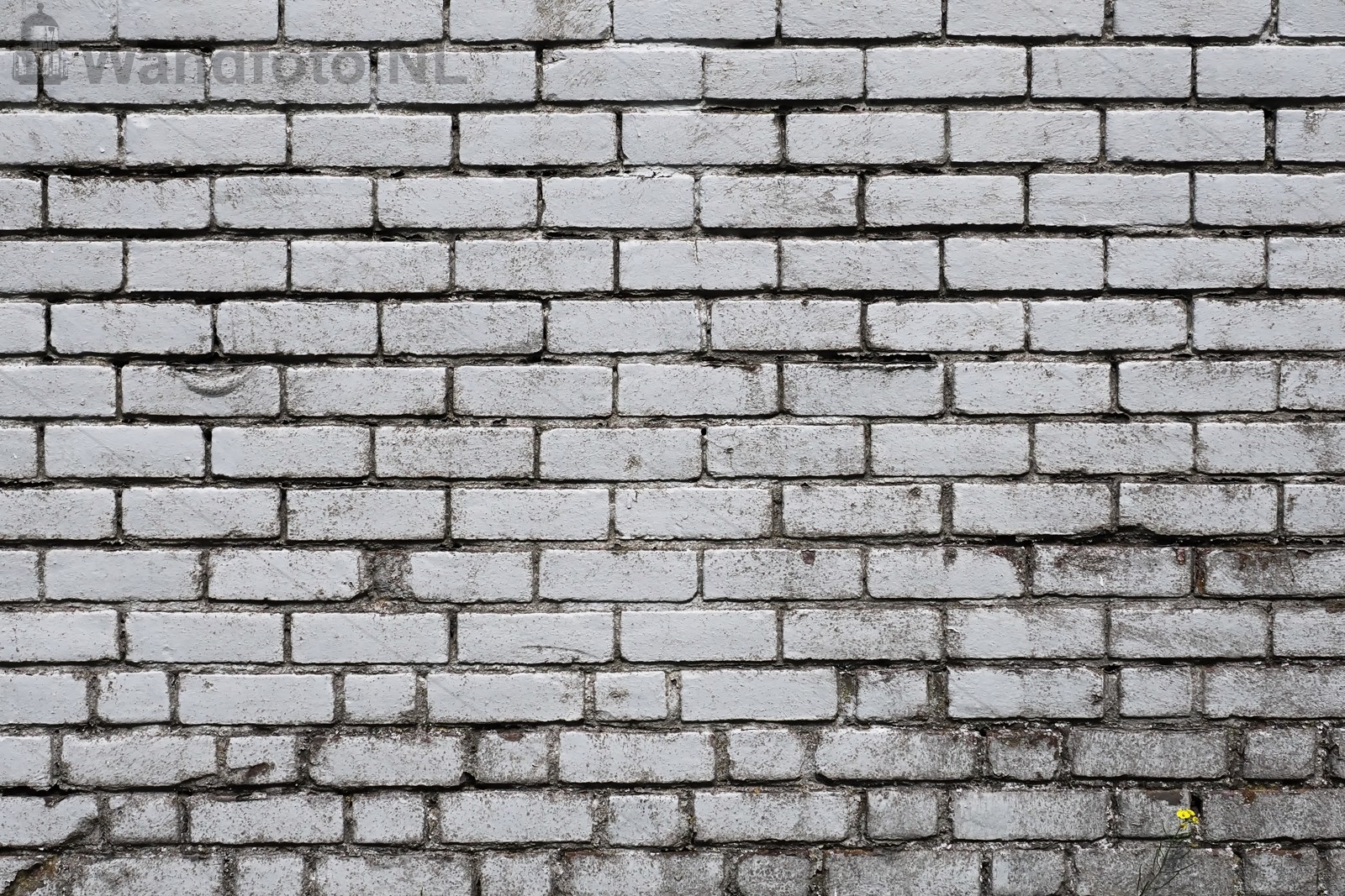 Muur slooppand