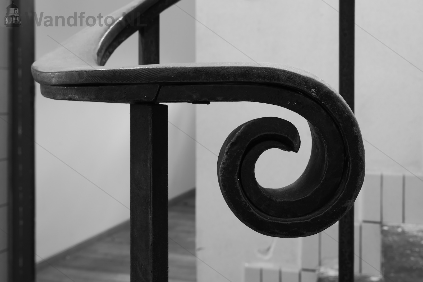 Trapfoto-1-T--11704-bw.JPG