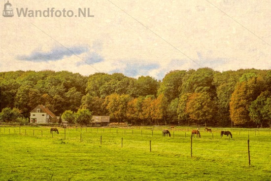 Duinrand met boerderij