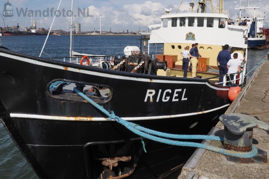 Korpsschip Rigel