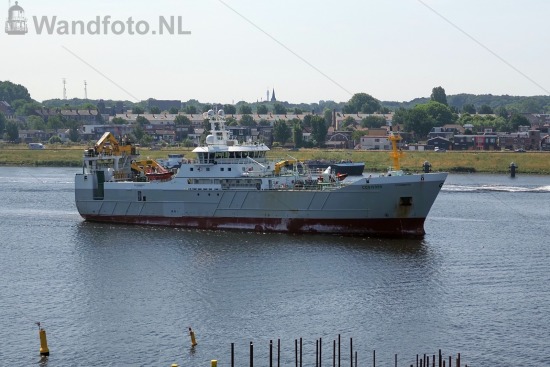 Hektrawler Scombrus
