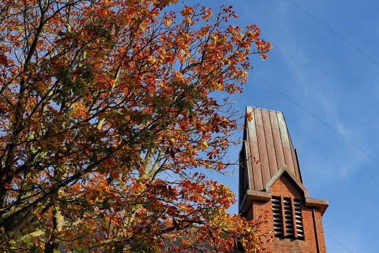 Herfstkleuren