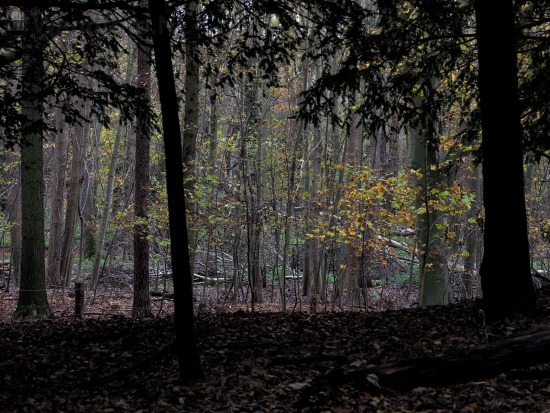 Herfst