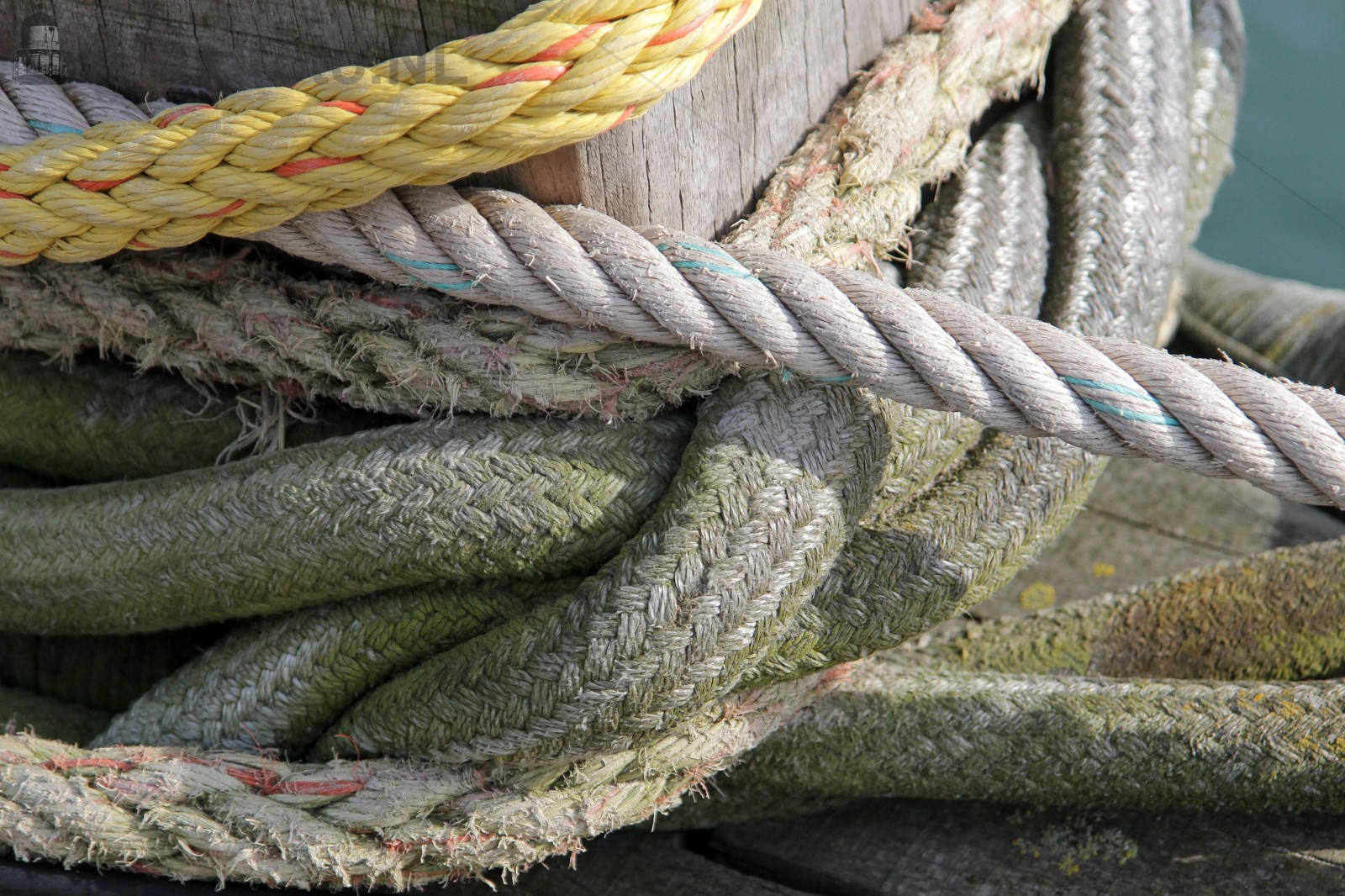 Mooring #030