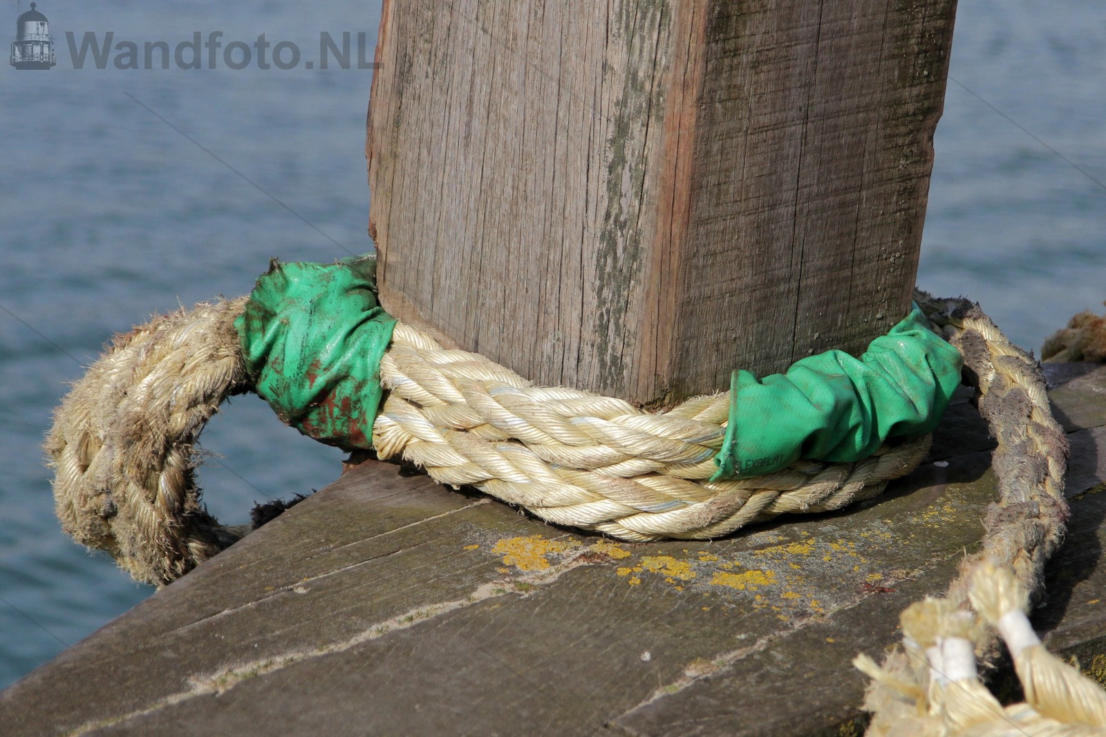 Mooring #029