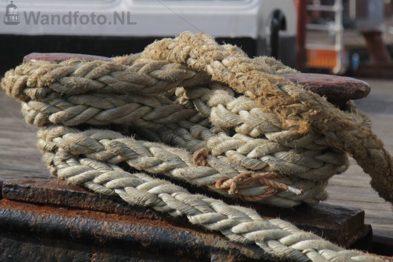 Tweede Haven
