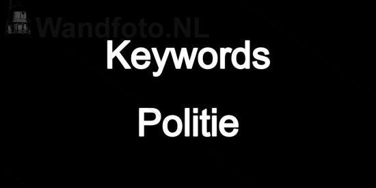 bereden politie, dsi, hulpdiensten, hulpdiensten-politie, kmar, koninklijke marechaussee, motoragent, politieboot, politiemotor, politiepaarden, politievaartuig, politievaartuig p168, politievaartuig p255, politievaartuig p42, politievaartuig p43, politievaartuig p44, politievaartuig p49, politievoertuig, politiewagen, verkeersongevallenanalyse, voa